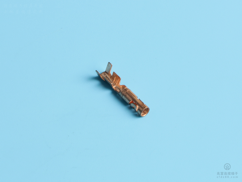 2.5雙腳母端（定制），黃銅，原色，單粒（OM18-01）